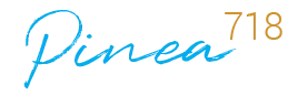 logo main
